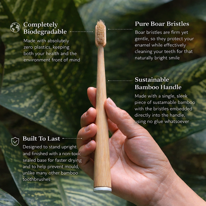 RELEVA Boar Bristle & Bamboo Toothbrush (4 Pack)