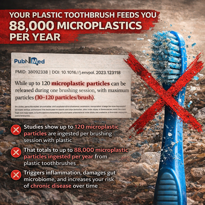 RELEVA Boar Bristle & Bamboo Toothbrush (4 Pack)